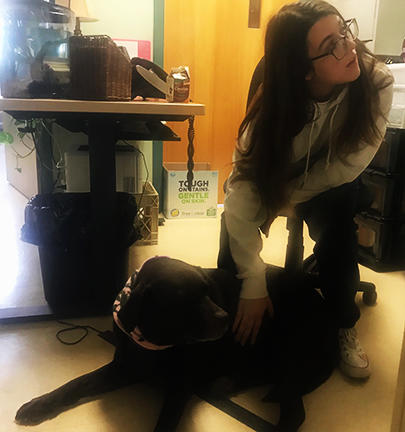 Photo of student petting Kai, of the K9 Therapy Program. Kei relaxes and enjoys, putting the student at ease.